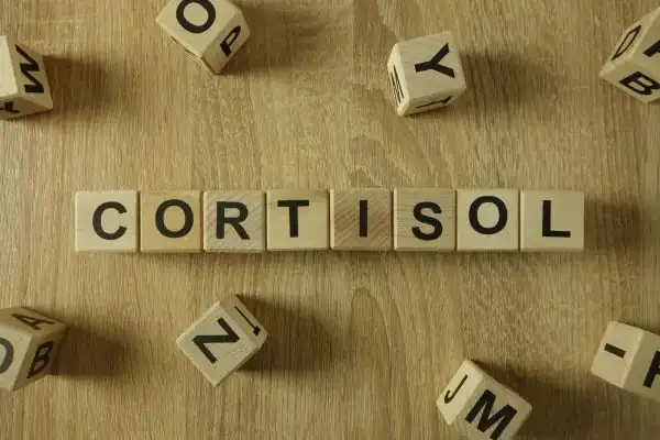 Image saying "Cortisol" and how stress Ramsgate impacts your wellbeing and bodies shape
